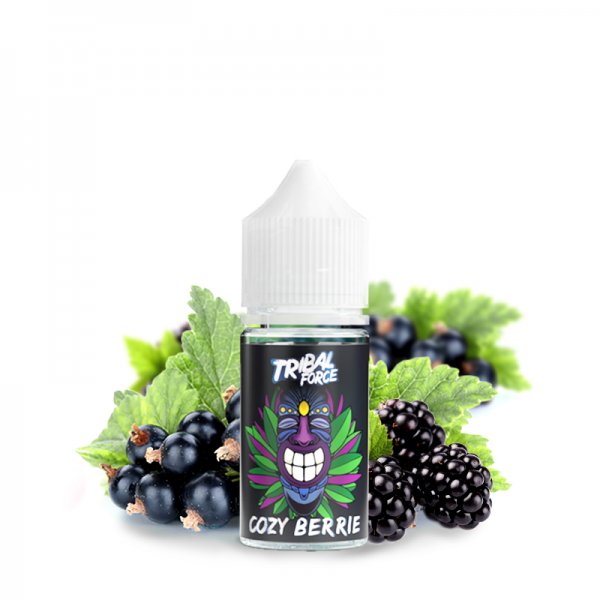 Aroma Cozy Berrie 30ml - Tribal Force