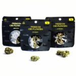 CBD Cvjetovi 1g - Garica