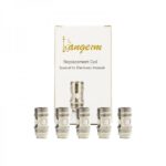 Grijači E-Hookah V2 Ni200 0.2Ω (5kom) - Kangerm